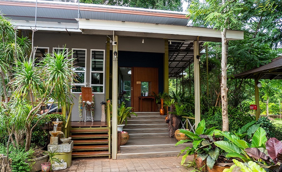 Giant Tree Cafe Khaoyai
