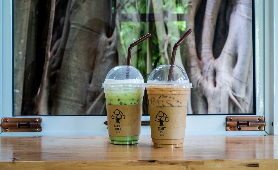 Giant Tree Cafe Khaoyai